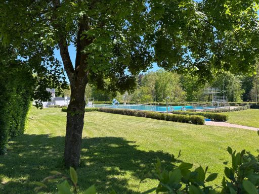 Grüne Wiese mit Baum und Pool im Hintergrund, umgeben von Sträuchern.