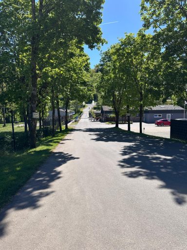 Zufahrt zu den Bungalows gesäumt von Bäumen und einigen Häusern im Hintergrund.